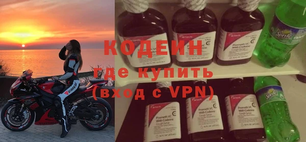 индика Зеленокумск