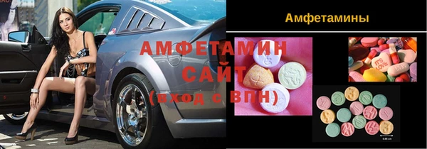 индика Зеленокумск