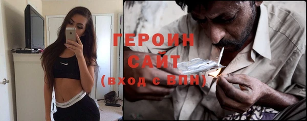 индика Зеленокумск