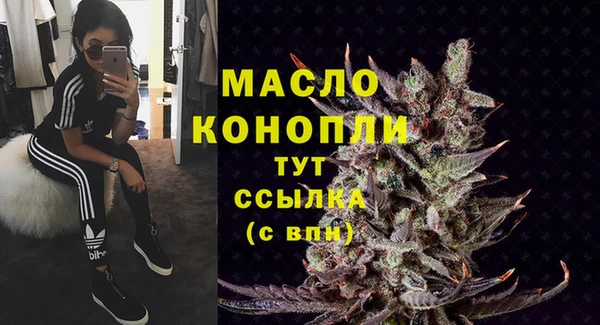 индика Зеленокумск