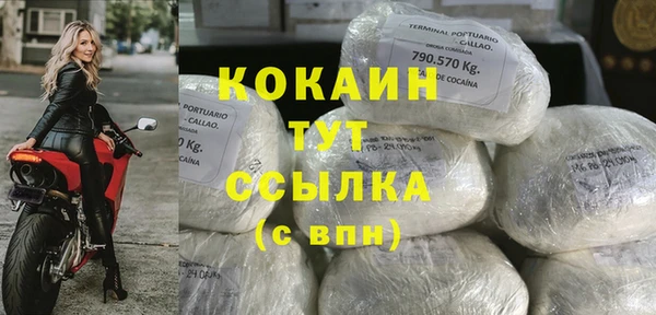 индика Зеленокумск