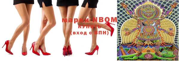 индика Зеленокумск