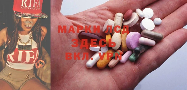 индика Зеленокумск