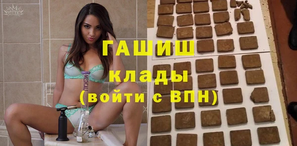 индика Зеленокумск