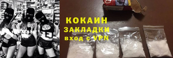 индика Зеленокумск