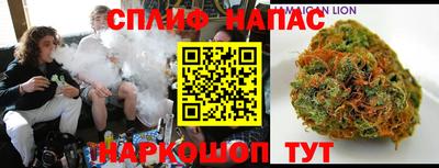 apvp Пугачёв