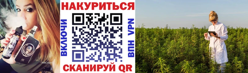 где можно купить   Невинномысск  Канабис план 